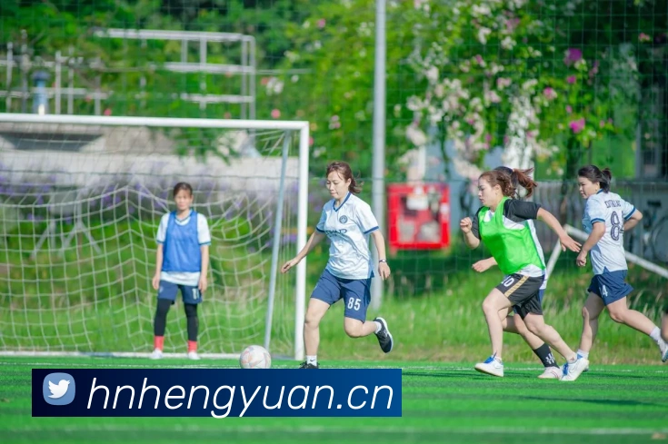 爱游戏ayx首页平台生态图