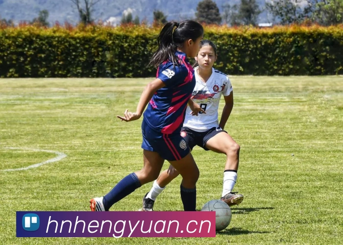 爱游戏ayx首页APP 封面图